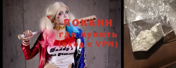 твердый Аркадак