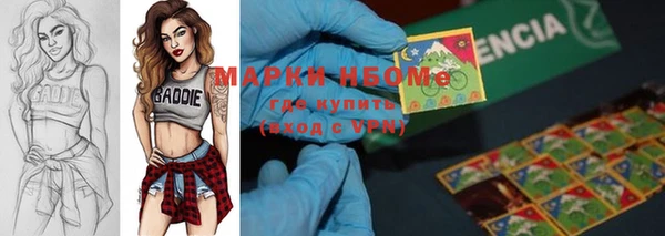 твердый Аркадак