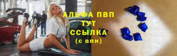 твердый Аркадак