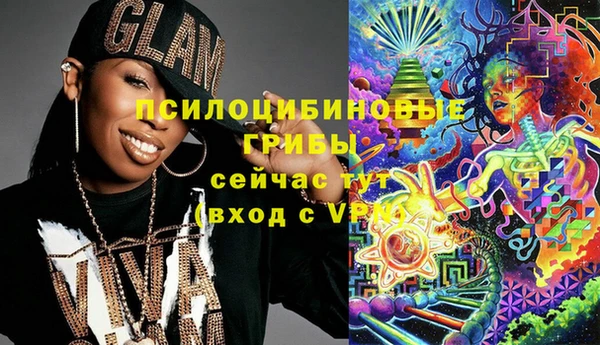 твердый Аркадак