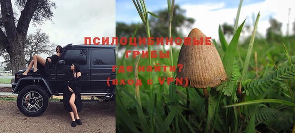 прущая мука Армянск