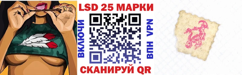 дарнет шоп  Бикин  Марки NBOMe 1,5мг 